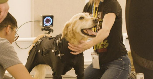 非凡国际·(中国游)体育官方网站