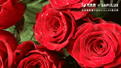 非凡国际·(中国游)体育官方网站