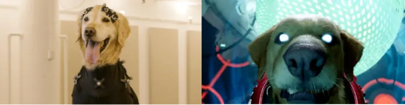 非凡国际·(中国游)体育官方网站