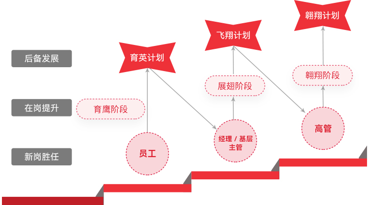 非凡国际 "雄鹰打算"人才梯队造就